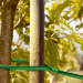 Подвязка для растений 6 шт 62,5 см