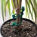 Подвязка для растений гибкая Лягушка