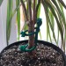 Подвязка для растений гибкая Лягушка