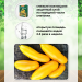 Набор для выращивания Помидор-Банан круглый год домашняя ягодница, чудо ягодница, сказочный сбор